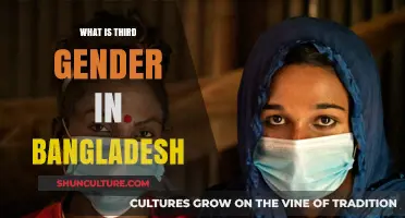 Understanding Bangladesh's Third Gender: Identity, Recognition, and Social Dynamics