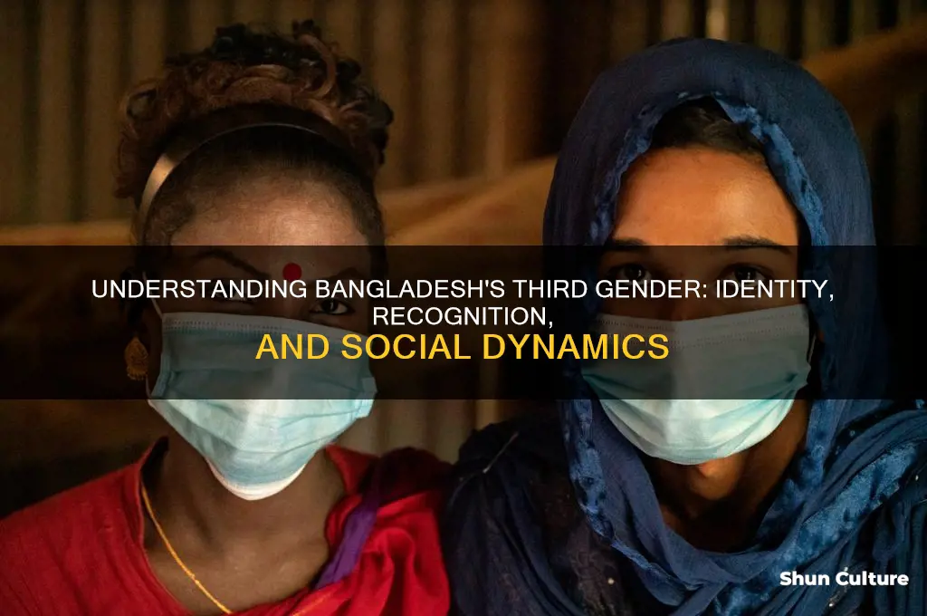 what is third gender in bangladesh
