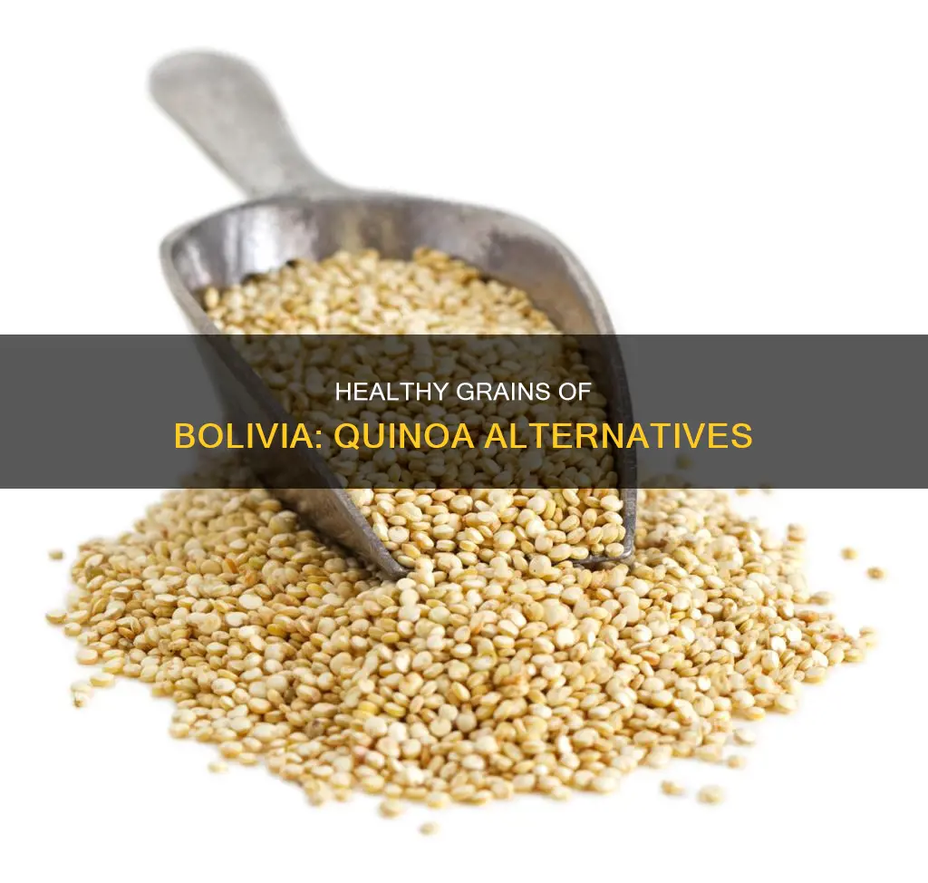 what is thr other healthy grain beside quiwa in bolivia