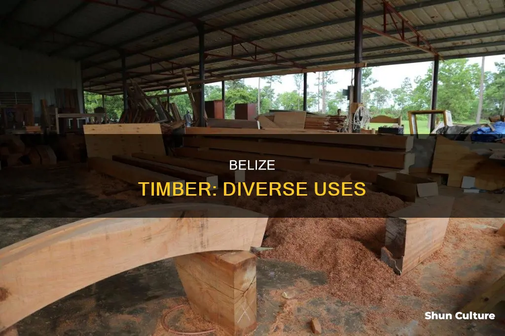 what is timber used for in belize