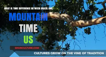 Brazil vs. US Mountain Time: Understanding the Hour Gap