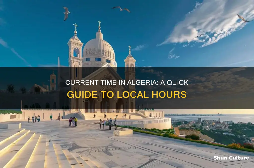 what is time in algeria now