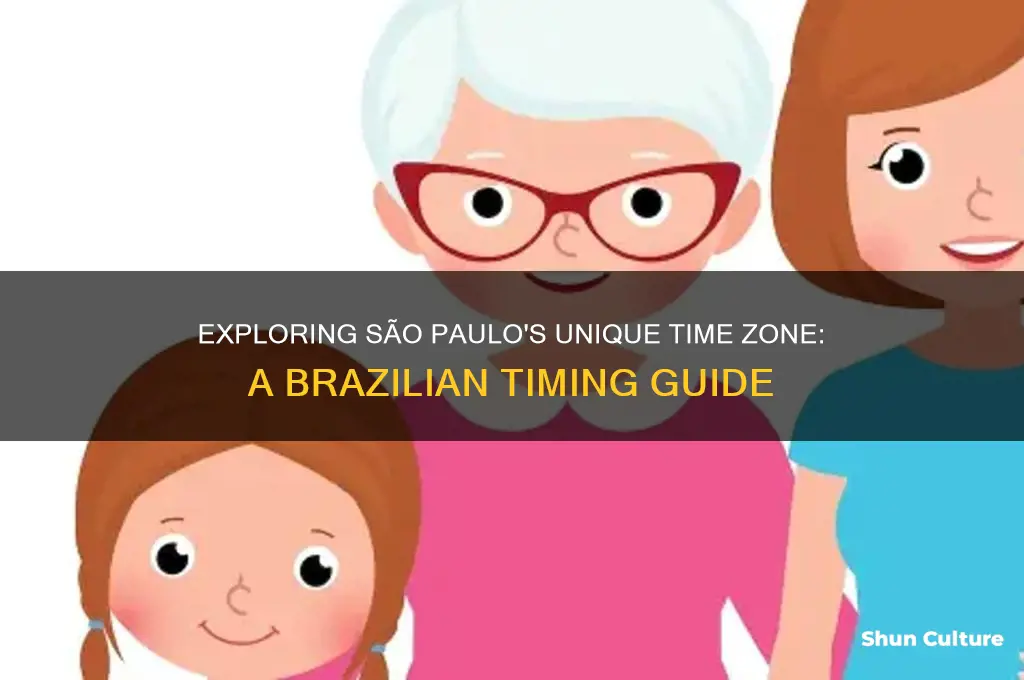 what is time insão paulo brazil