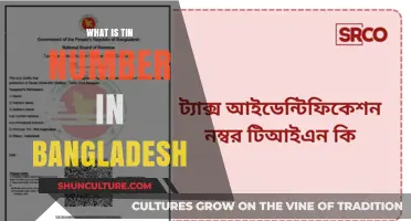 Understanding Bangladesh's TIN Number: Purpose, Registration, and Importance