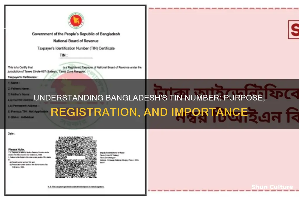 what is tin number in bangladesh