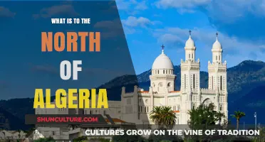 Exploring Algeria's Northern Neighbors: Countries, Borders, and Geography