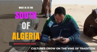 Exploring Algeria's Southern Borders: Countries, Landscapes, and Cultures Revealed