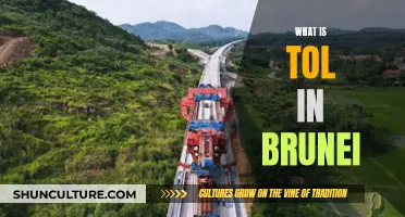 Understanding Brunei's TOL: A Unique Cultural Practice