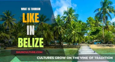 Belize's Tourism: Adventure and Relaxation