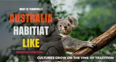 Exploring Townsville's Unique Habitat: Climate, Wildlife, and Ecosystems in Australia