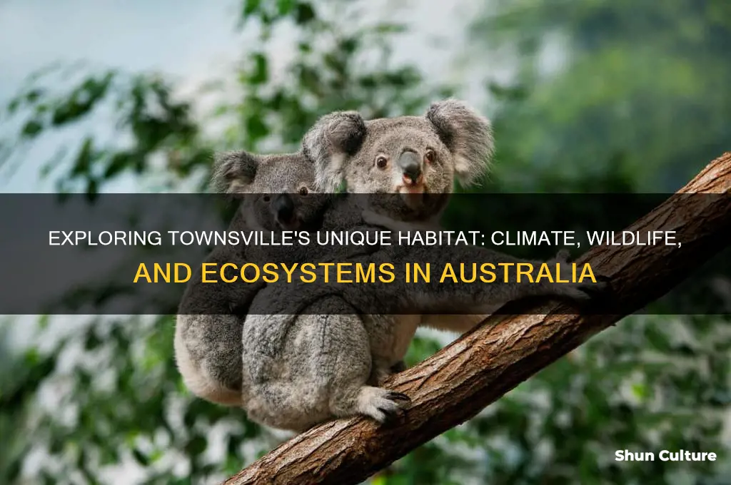 what is townsville australia habitiat like