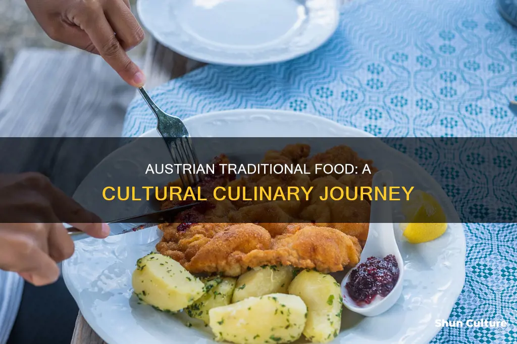 what is traditional austrian food