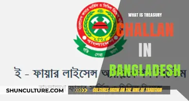 Understanding Treasury Challan in Bangladesh: A Comprehensive Guide