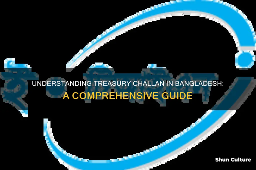what is treasury challan in bangladesh