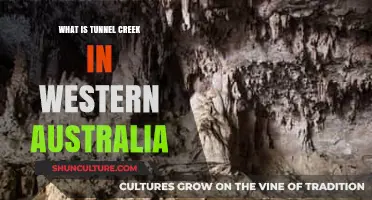 Tunnel Creek: A Natural Wonder in Western Australia