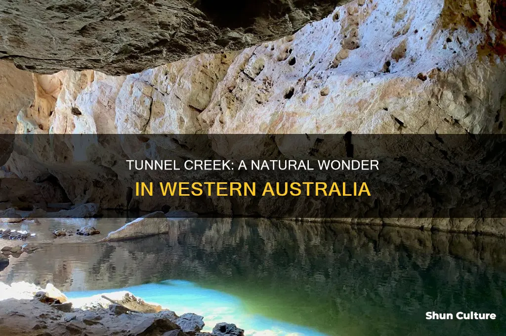 what is tunnel creek in western australia