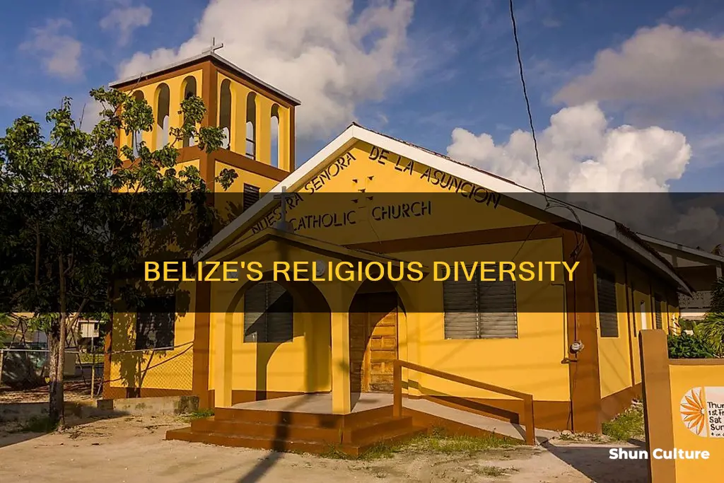 what is two major religion in belize