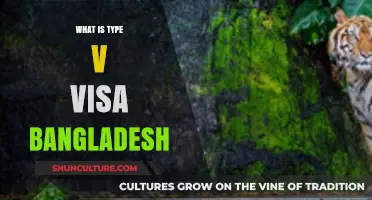Understanding Bangladesh's Type V Visa: Eligibility, Application, and Benefits
