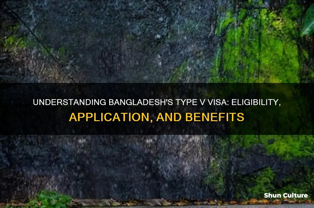 what is type v visa bangladesh