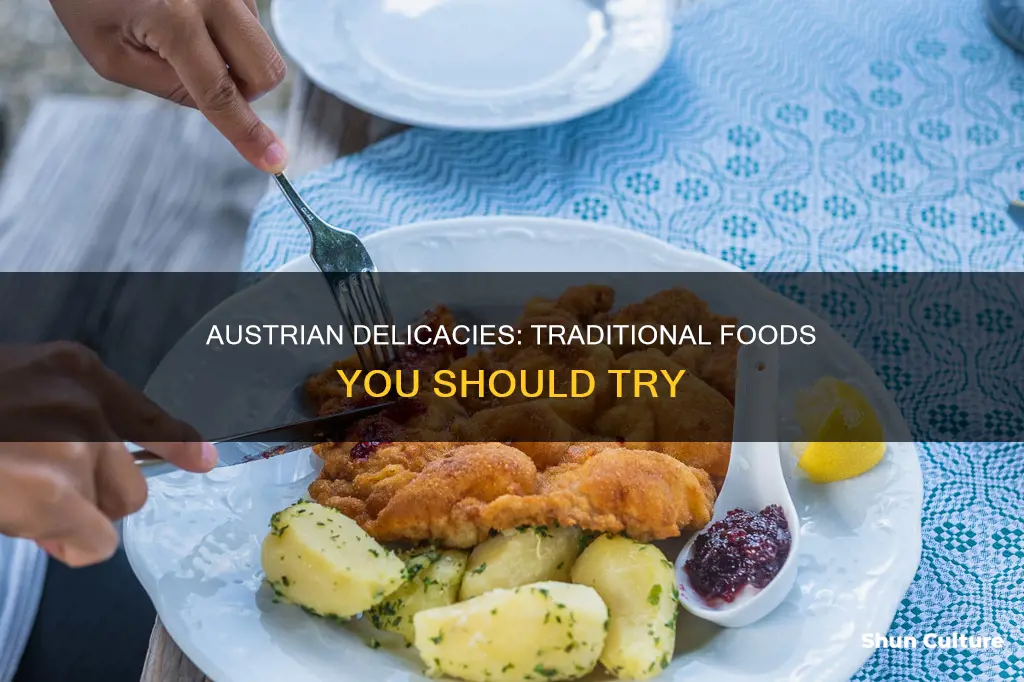 what is typical austrian food