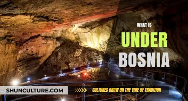 Unveiling Bosnia's Subterranean Secrets: Caves, Rivers, and Ancient Mysteries Below