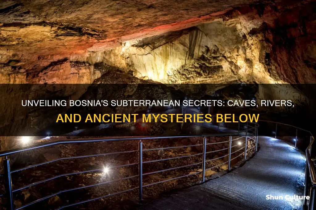 what is under bosnia