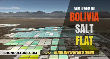 The Mystery Beneath Bolivia's Salt Flats