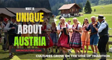 A Country of Contrasts: Unveiling Austria's Unique Charm