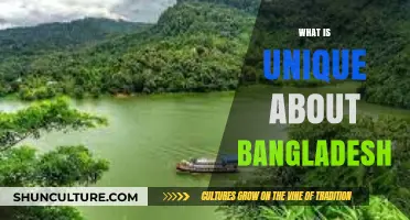 Discovering Bangladesh's Cultural Richness, Natural Beauty, and Vibrant Heritage