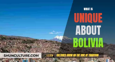 Bolivia's Uniqueness: From Salt Flats to Indigenous Culture