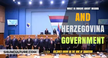 Bosnia and Herzegovina's Unique Government Structure: A Complex Political System