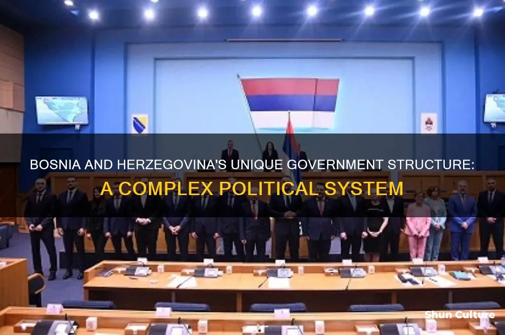 what is unique about bosnia and herzegovina government