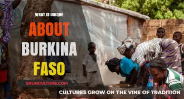 Exploring Burkina Faso's Unique Cultural Tapestry and Natural Wonders