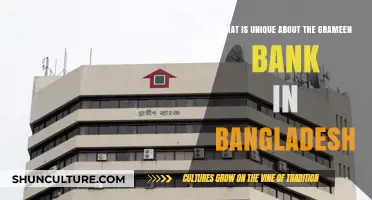 Grameen Bank's Revolutionary Microfinance Model: Bangladesh's Unique Poverty Alleviation Strategy