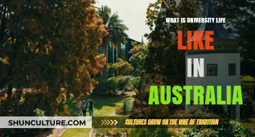 Exploring University Life in Australia: Culture, Academics, and Experiences