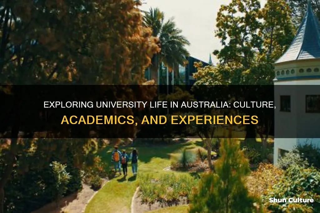 what is university life like in australia