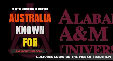 UWA: A Leading Research University in Australia