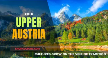 Exploring the Charms of Upper Austria: A Regional Guide