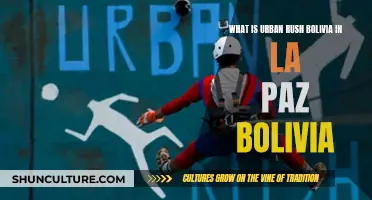 Urban Rush Bolivia: La Paz's Unique Sport