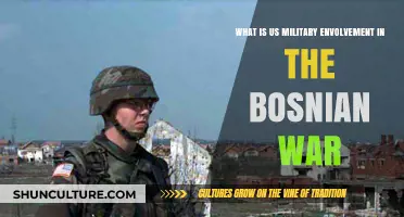 US Military's Role in the Bosnian War: A Comprehensive Overview