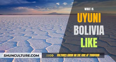 Exploring Uyuni, Bolivia: A Travel Odyssey