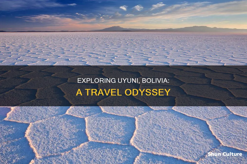 what is uyuni bolivia like