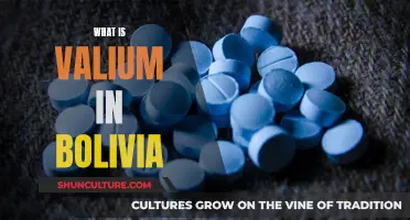 Valium in Bolivia: Availability and Usage Insights