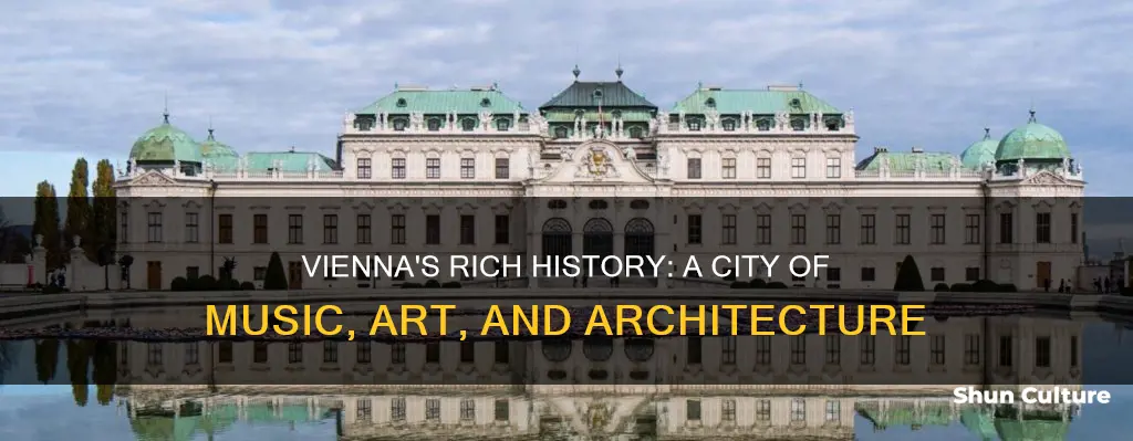 what is vienna austria famous for