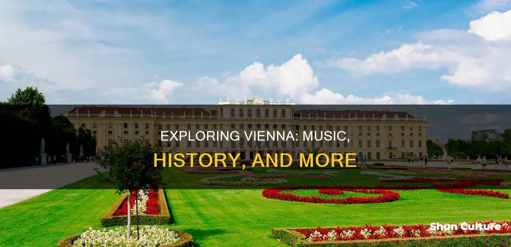 what is vienna austria famous for