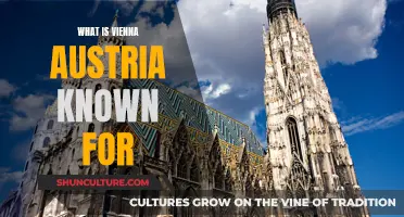 Vienna, Austria: A City of Music, Art, and History