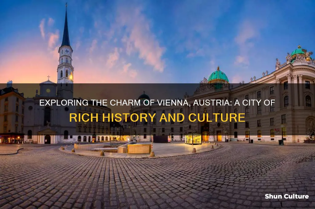 what is vienna austria