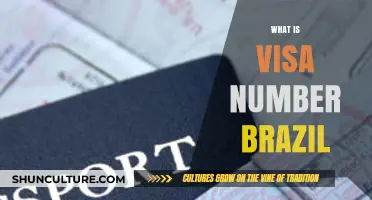 Understanding Brazil's Visa Number: Essential Details for Travelers and Immigrants