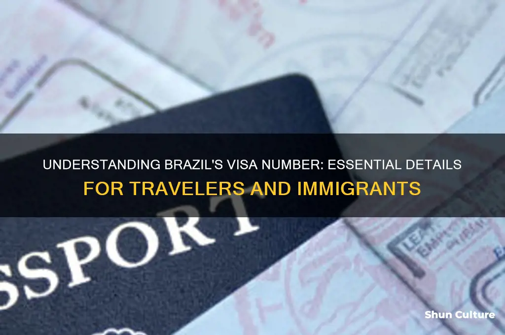 what is visa number brazil