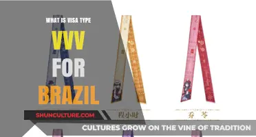 Understanding Brazil's Visa Type VVV: Purpose, Eligibility, and Application Process
